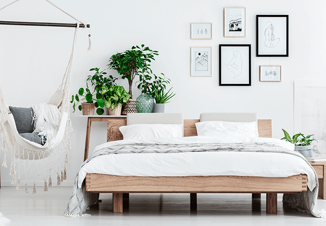 15 plantas para quarto que podem melhorar seu sono!