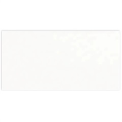 Azulejo Acetinado Borda Bold Clean White Plain Matte 30x60cm - Portinari 