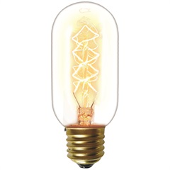 Lâmpada Incandescente com Filamento de Carbono T45 40w 110v 2200k Luz Amarela - Taschibra  
