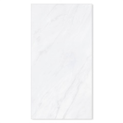 Porcelanato Frozen Lux Retificado 60x120cm - Biancogres