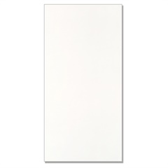 Porcelanato Hd Polido Retificado Pure Branco 49x99cm - Elizabeth