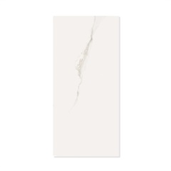Porcelanato Polido Retificado Mont Blanc 120x270cm Branco - Portobello   