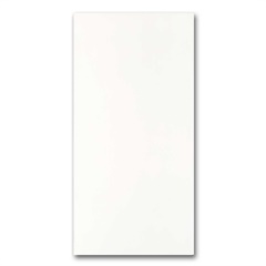 Porcelanato Polido Retificado Pure White 49x99cm Branco - Elizabeth