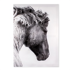 Quadro Cavalo P&B 40x60cm