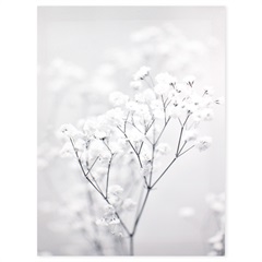 Quadro Flores Brancas 30x40cm - Casanova