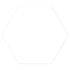 Revestimento Brilhante Borda Bold Hexa Branco 22,8x22,8cm - Ceral