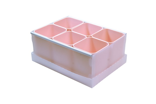 Caixa Organizadora com 6 Porta Objetos Protêa 10,2x24cm Rosa - Dello