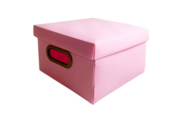 Caixa Organizadora com Tampa Linho Pequena Blush Rosa 26x26cm - Dello