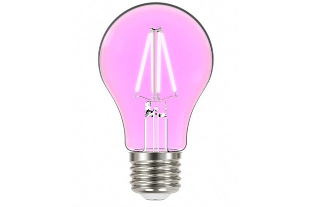 Lâmpada Led a60 Color com Filamento E27 4w Autovolt Rosa - Taschibra  