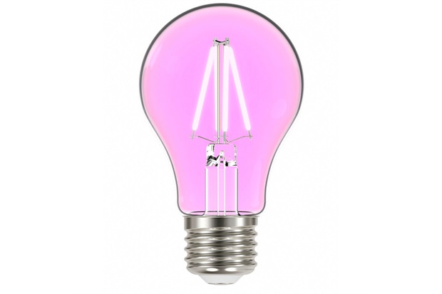 Lâmpada Led com Filamento Color a60 4w Autovolt Luz Rosa - Taschibra  