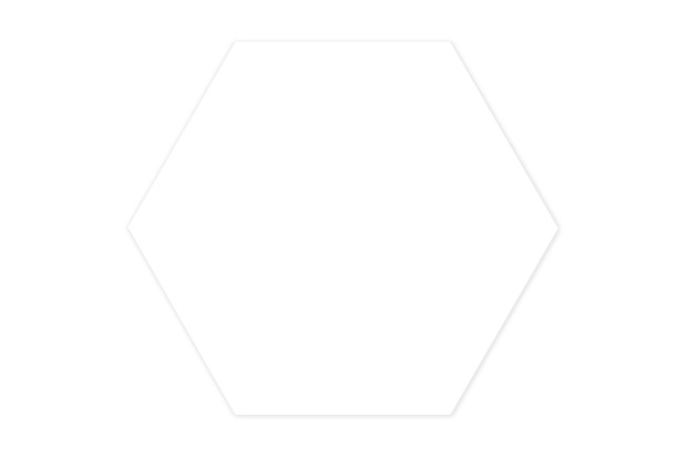 Revestimento Brilhante Borda Bold Hexa Branco 22,8x22,8cm - Ceral