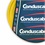 Cabo Flexível Condusflex 4,0 Mm 450/750v 70° C Nbr 247 Nm 02 com 100 Metros Amarelo - Conduscabos