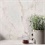 Porcelanato Natural Retificado Timiless Apuano Oro Branco 60x120cm - Portobello   